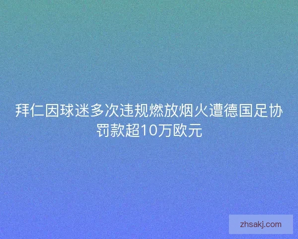 拜仁因球迷多次违规燃放烟火遭德国足协罚款超10万欧元