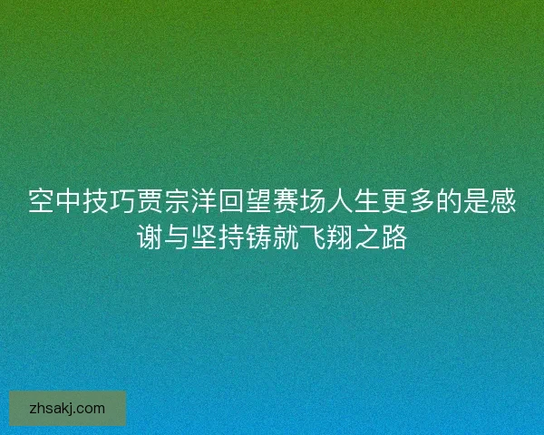 空中技巧贾宗洋回望赛场人生更多的是感谢与坚持铸就飞翔之路